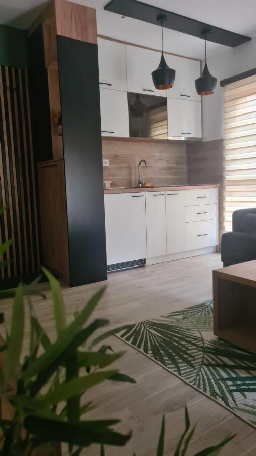 Apartmani Part Дивчибаре Экстерьер фото